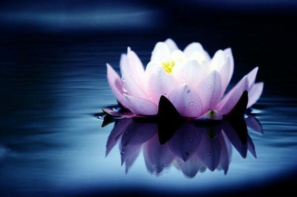 Притча о богатстве и щедрости