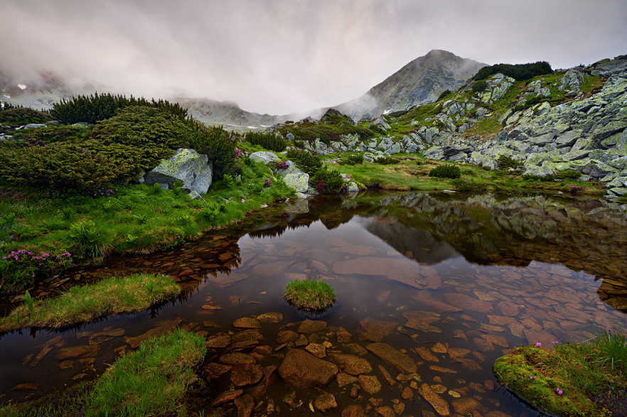 Причины заболеваний и пути избавления от них