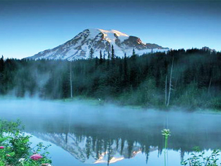 Набраться сил на весь год (Рами)