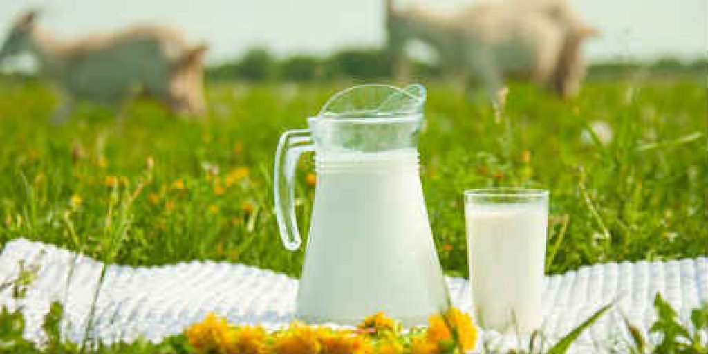 Молоко и молочные продукты:  ДА ИЛИ НЕТ?