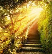 После смертельного диагноза жить захотелось ещё больше