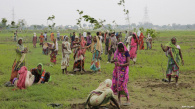Индия посадила 66 миллионов деревьев (более полумиллиарда саженцев) всего за 12 часов