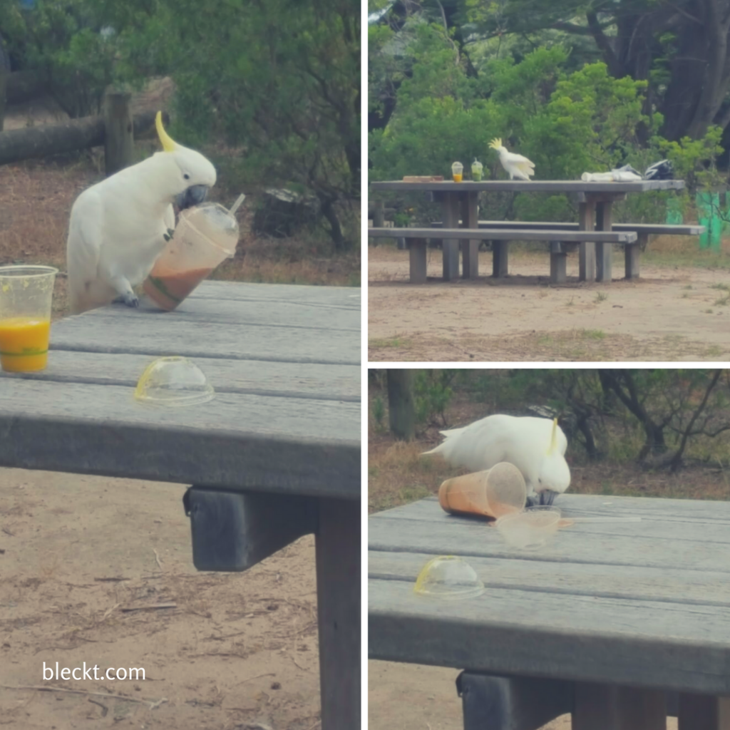 Add sub (1).png Add sub (1).png