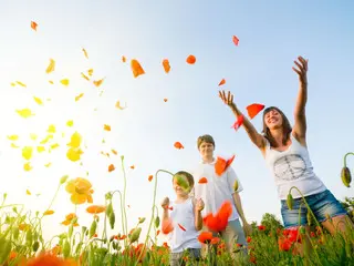 4 уровня развития личности -  социальный