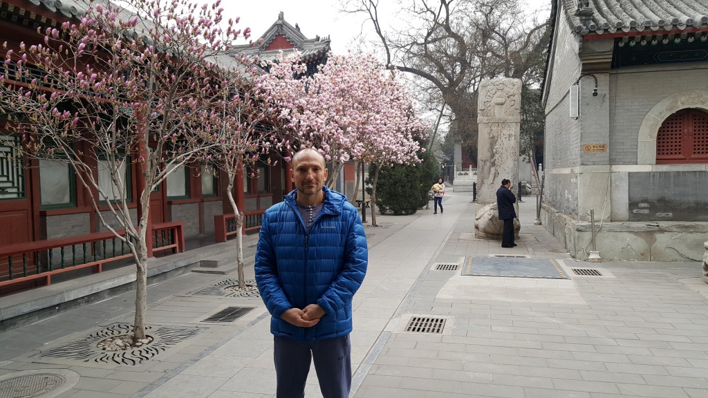 T6R0ga-ndm8.jpg T6R0ga-ndm8.jpg