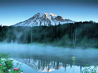 Набраться сил на весь год (Рами)