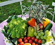 ВЕГЕТАРИАНСТВО – НАУЧНЫЙ ОБЗОР