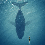 Рами БЛЕКТ: Какие бывают виды страхов? (часть 2)